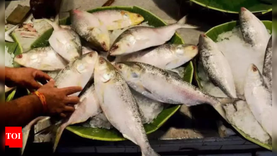 Bangladesh reverses ban on export of Hilsa fish to India ahead of Durga Puja | India News – MASHAHER