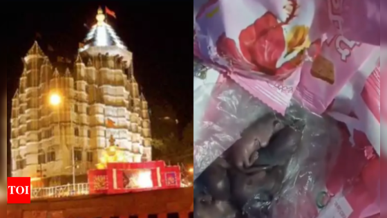 Mice found on prasad packets at Mumbai’s Siddhivinayak Temple; probe launched | Mumbai News – MASHAHER