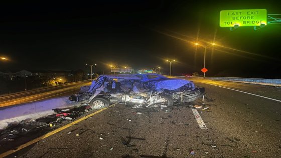 Wrong-way driver strikes Hillsborough deputy nearly head-on on Skyway Bridge: FHP – MASHAHER