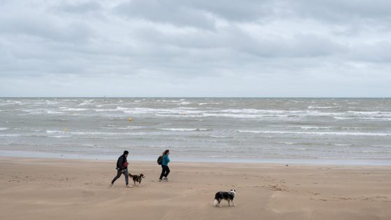 There’s a Russian ‘floating bomb’ just off this Kent beach – but locals don’t seem to care – MASHAHER