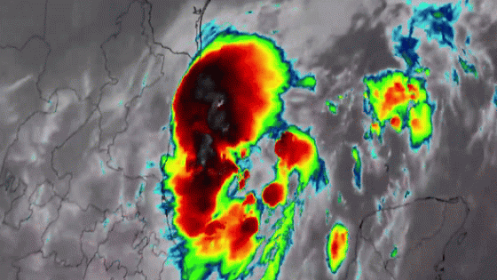 Tropical Storm Francine Forms in Gulf of Mexico – MASHAHER