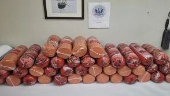 Woman loses over 700 pounds of bologna after Texas border inspection – MASHAHER