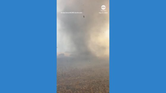 WATCH: Smoke whirls during Alabama cornfield fire – MASHAHER