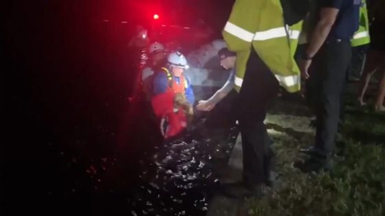 WATCH: Residents and dog rescued from Hurricane Helene floodwaters – MASHAHER