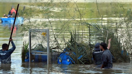 Perhilitan captures crocodile at Shah Alam lake – MASHAHER