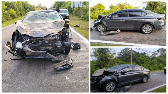 Teaches cheats death after car crashes into elephant in Johor – MASHAHER