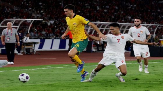 Football: Soccer-Australia defender Circati ruled out with cruciate ligament injury – MASHAHER