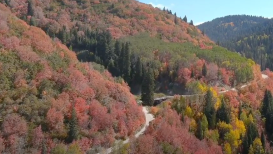 Drone Captures Autumnal Palette in Northern Utah – MASHAHER