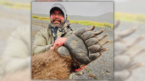 Posts Claim Photo Shows True Size of Bear’s Paw Compared to Human, But There’s More to It – MASHAHER