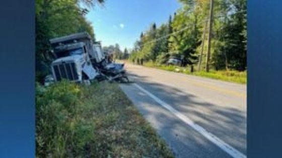 Moose in roadway causes serious head-on collision between two trucks in NH, police say – MASHAHER