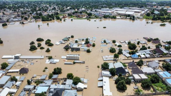 Dam collapse in Nigeria sweeps deadly reptiles into flooded communities – MASHAHER