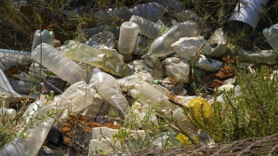 Has a UC Berkeley chemistry lab discovered the holy grail of plastic recycling? – MASHAHER