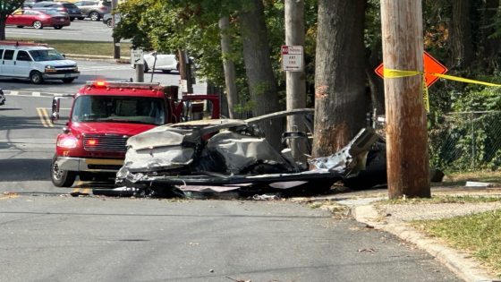 2 killed in fiery Tesla crash in White Plains, NY – MASHAHER