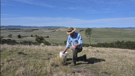 Digging it: regenerative farmers keen to spread word – MASHAHER