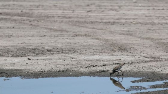 La Nina weather 71% likely to develop in Sept-Nov, says US forecaster – MASHAHER