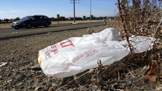 California governor signs law banning all plastic shopping bags at grocery stores – MASHAHER