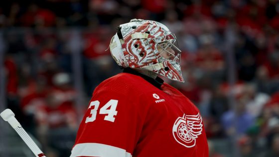 How The Canucks Can Benefit From The Red Wings Current Goaltending Situation – MASHAHER