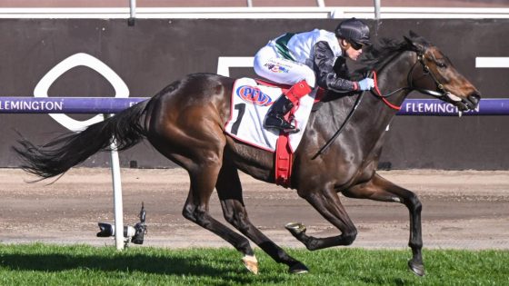 Mr Brightside pumps home to win second Makybe Diva Stakes at Flemington ahead of arch-rival Pride Of Jenni – MASHAHER