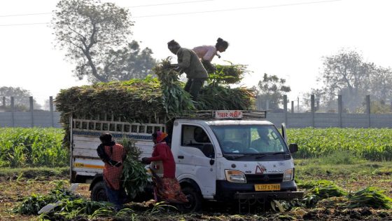 Analysis-Ethanol push turns India into corn importer, shaking up global market – MASHAHER