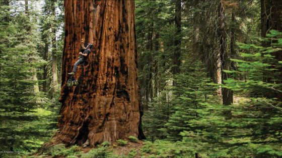 With 25% of state land protected, California nears its ’30×30′ conservation goal – MASHAHER