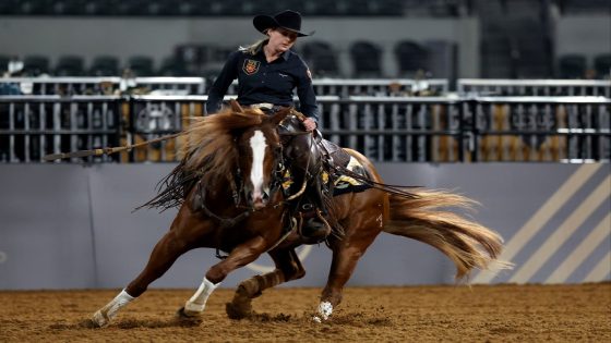 Feed that killed 70 rodeo horses in Oklahoma was contaminated with toxic additive – MASHAHER