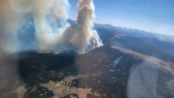 Wildfire breaks out in Uinta-Wasatch-Cache National Forest – MASHAHER