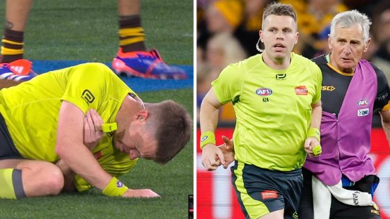 Umpire Nick Foot collision with Aaron Naughton, Western Bulldogs v Hawthorn elimination final, Hokball, reactions, latest news – MASHAHER