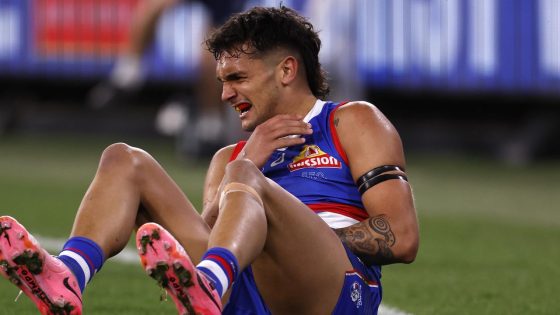 Western Bulldogs player ratings vs Hawthorn from Second Elimination Final, highlights, stats, best and worst players – MASHAHER