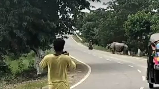 On Camera, Biker Chased And Attacked By Rhino In Assam Near Pobitora Wildlife Sanctuary, Dies – MASHAHER