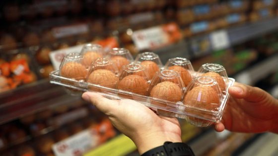 Egg recall linked to salmonella outbreak in 9 states that’s left dozens ill: Avoid these 2 brands – MASHAHER