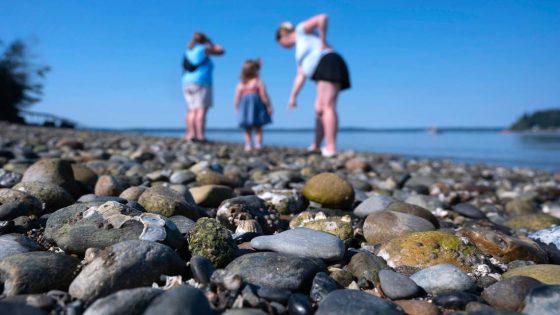 History, mystery behind rare ‘claybaby’ formations that wash ashore Puget Sound revealed – MASHAHER