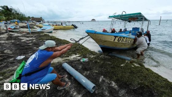 Storm Helene strengthens as it heads to Mexico and Florida – MASHAHER