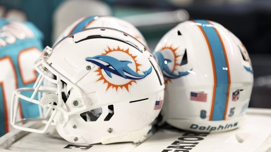 Dolphins sign QB Tim Boyle to active roster – MASHAHER