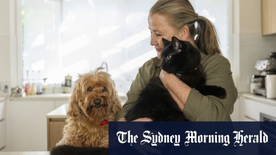 Pet cat laws could include curfews and cap on numbers, says Environment Minister Tanya Plibersek – MASHAHER