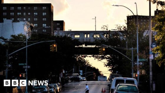 Bystander shot in head as New York police tackle fare-evader – MASHAHER