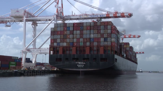 Harbor pilot averts disaster, stops cargo ship from crashing at Port Tampa Bay – MASHAHER