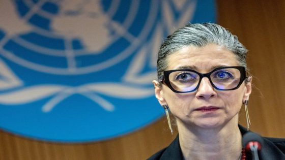 UN experts censure Western support for Israel since Gaza war – MASHAHER