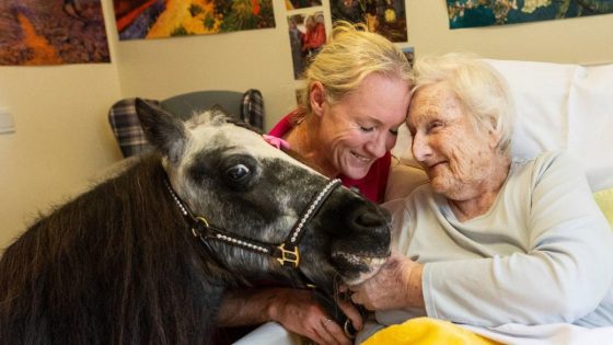 Meet mini ponies touring hospitals and schools to give therapeutic cuddles – MASHAHER