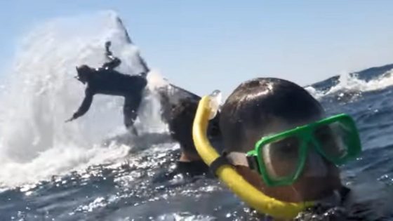 Whale tosses snorkeler out of the water; ‘it was a bit scary’ – MASHAHER