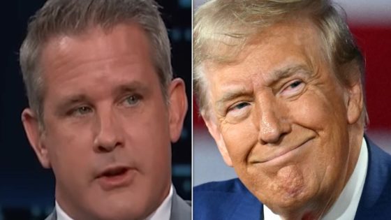 Adam Kinzinger’s Way-Too-Specific Description Of Trump Body Odor Might Make You Gag – MASHAHER