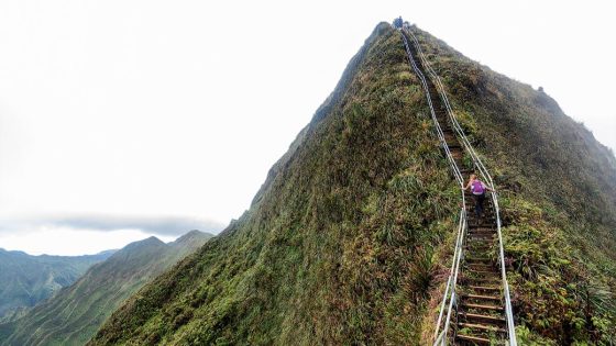 “Someone is going to get hurt or killed” –14 hikers arrested for illegally climbing famous closed trail – MASHAHER