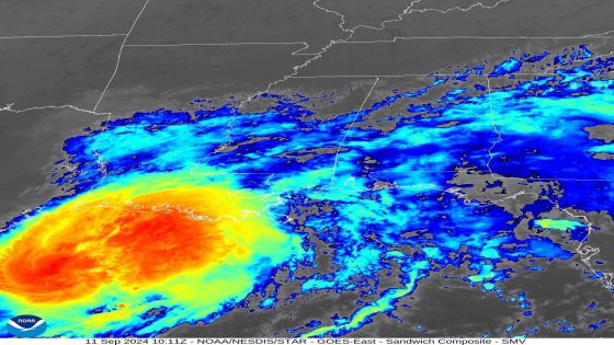 See latest radar, spaghetti models on Hurricane Francine prior to landfall – MASHAHER