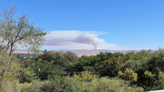 Fire near Lucky Peak grows to 700 acres near Boise. It was caused by humans – MASHAHER