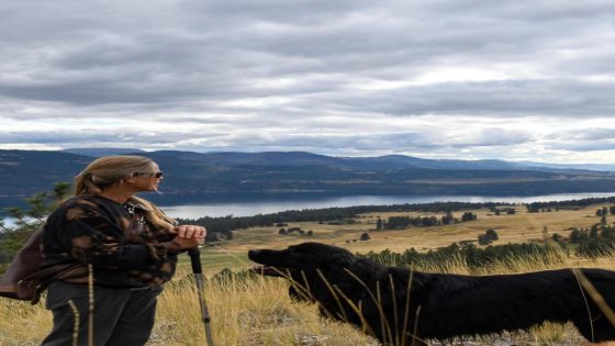 Washington woman punches bear during attack – MASHAHER