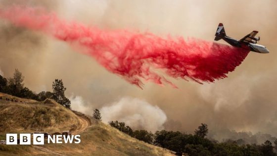 Military plane repurposed as aerial firefighter – MASHAHER