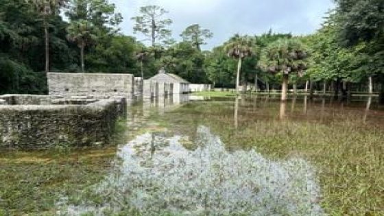 Kingsley Plantation temporarily closed due to flooding after heavy rainfall – MASHAHER