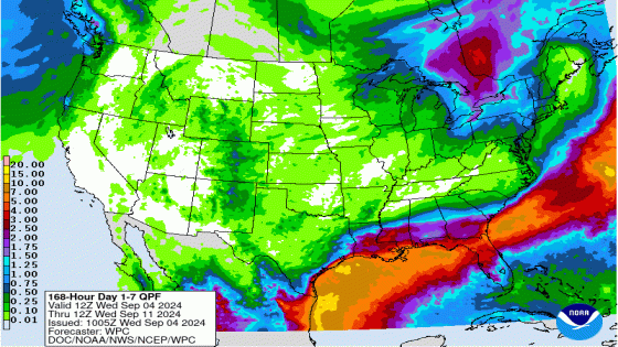 Tired of rain? Some portions of Florida could see up to 12 inches through weekend – MASHAHER