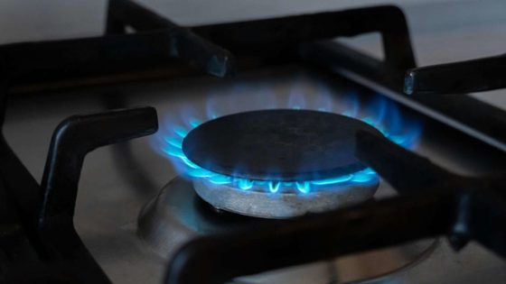 California Legislators Vote To Slap a Giant Warning Label on All Gas Stoves – MASHAHER