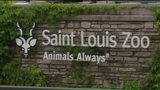 Dispute escalates to attack at Saint Louis Zoo; suspects wanted – MASHAHER