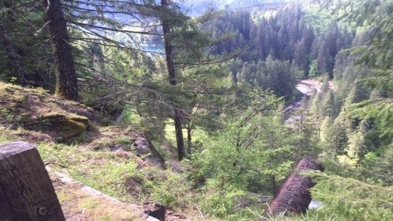 Third set of human remains found in Gifford Pinchot National Forest since August – MASHAHER